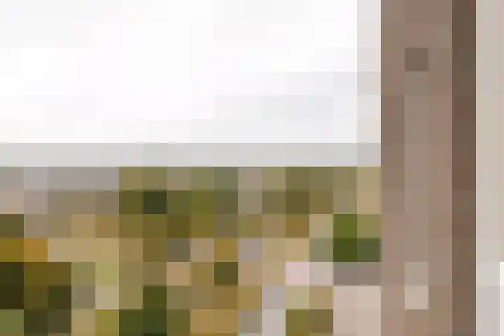 Bandastraat 44 Almere thumbnail 31