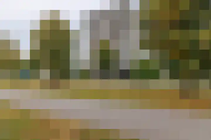 Bandastraat 44 Almere thumbnail 6