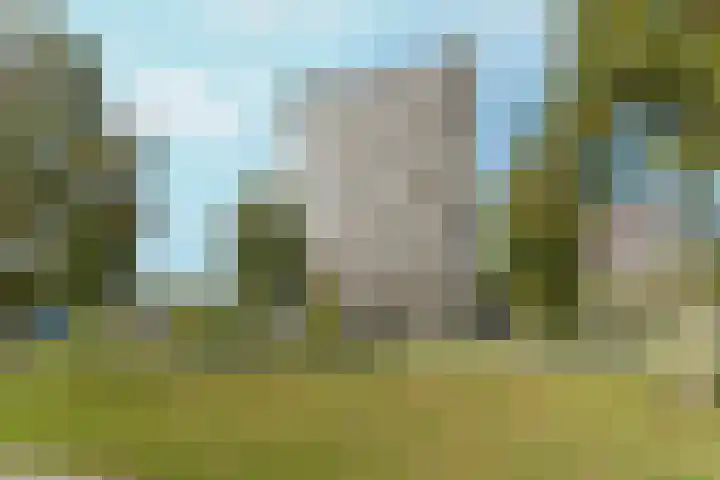 Bandastraat 64 Almere thumbnail 33