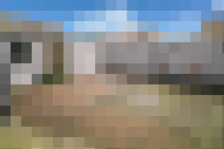 Bandeliersberg 105 Roosendaal thumbnail 35