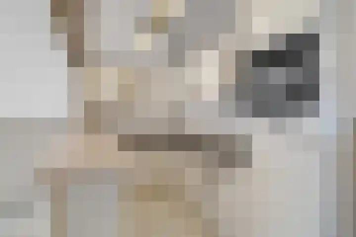 Bandeliersberg 105 Roosendaal thumbnail 9
