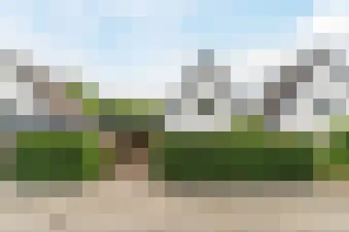 Bandeliersberg 22 Roosendaal thumbnail 52