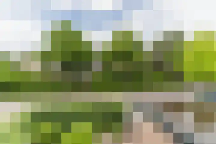 Bandeliersberg 22 Roosendaal thumbnail 54