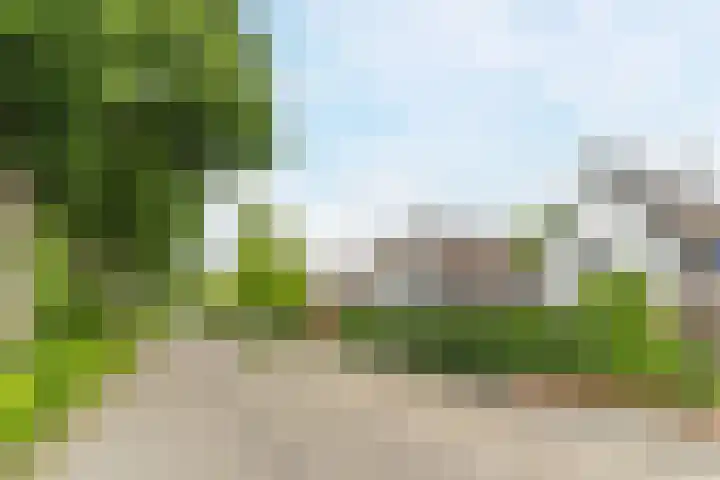 Bandeliersberg 22 Roosendaal thumbnail 58