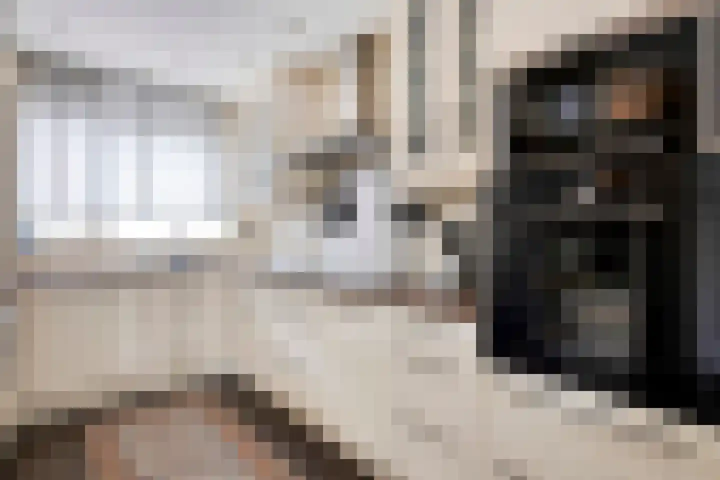 Bandeloodijk 37 Rotterdam thumbnail 9