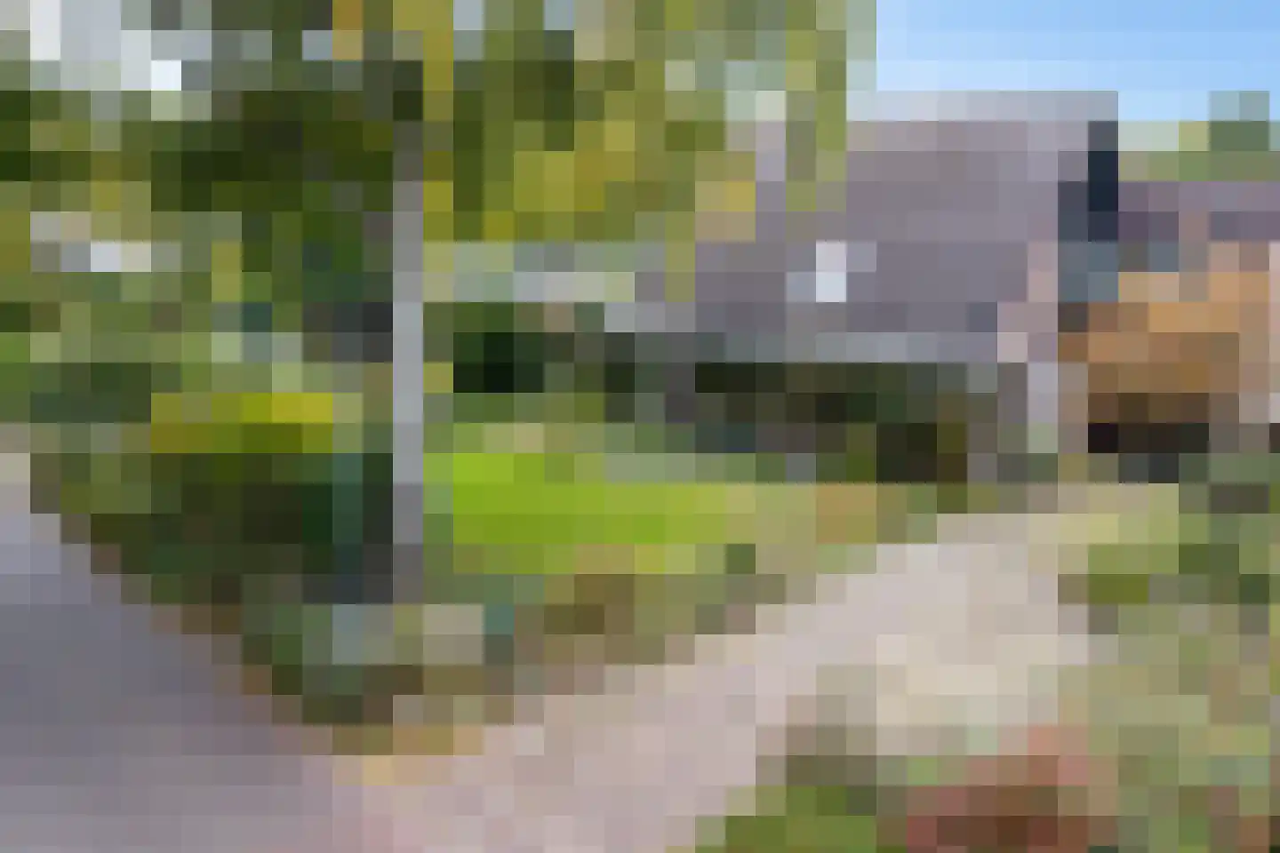 Banderschulte 4 Rolde
