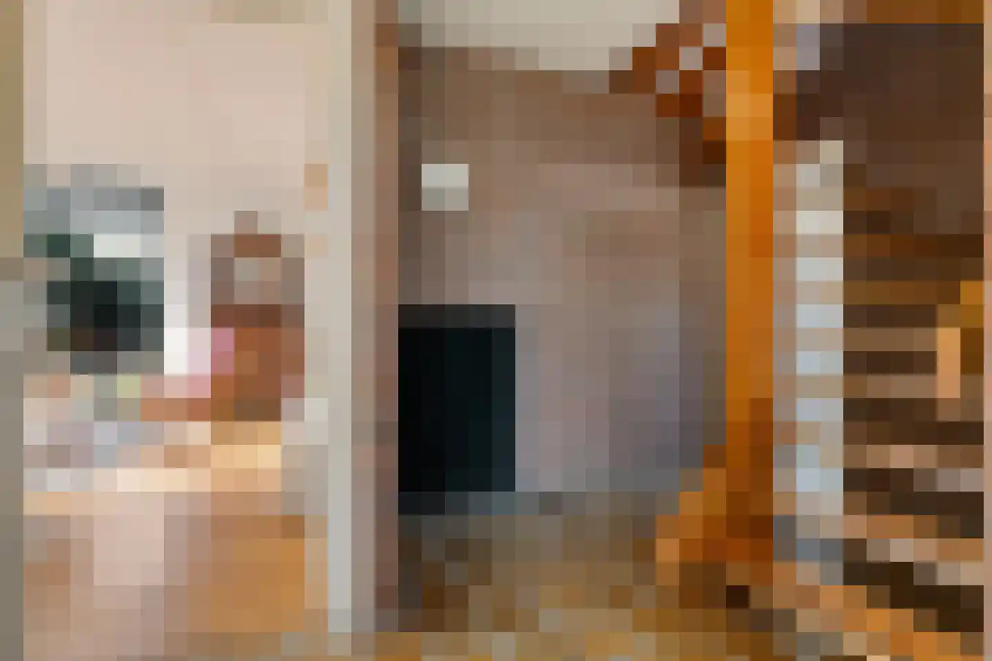 Banderschulte 4 Rolde thumbnail 10