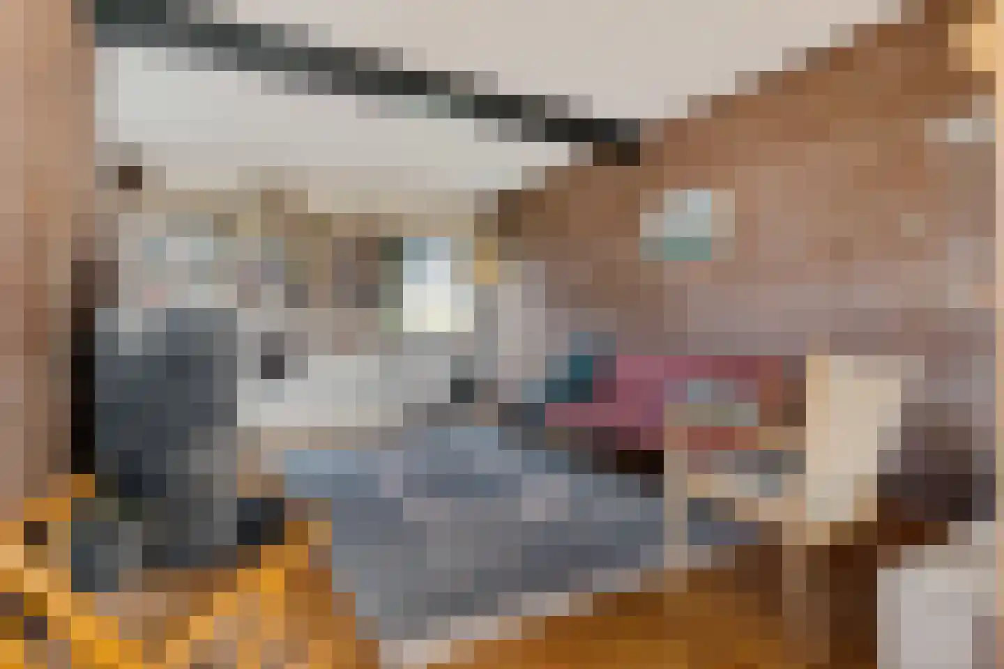 Banderschulte 4 Rolde thumbnail 12