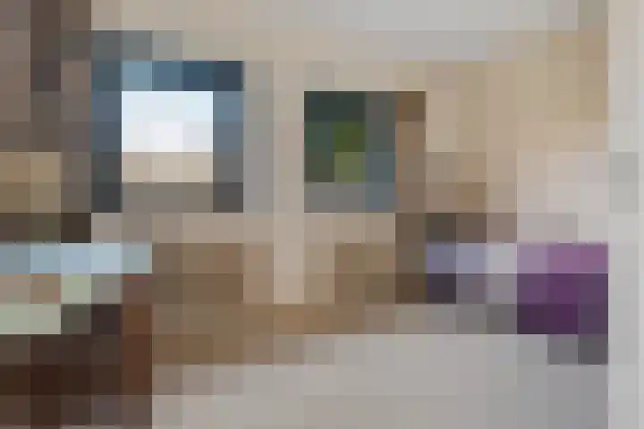 Banderschulte 4 Rolde thumbnail 19