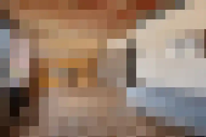 Banderschulte 4 Rolde thumbnail 34