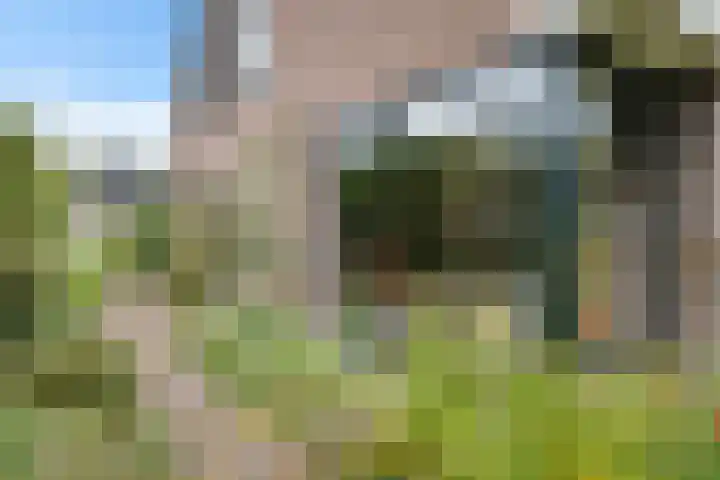 Banderschulte 4 Rolde thumbnail 4