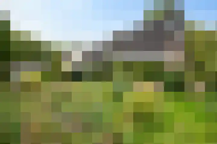 Banderschulte 4 Rolde thumbnail 40