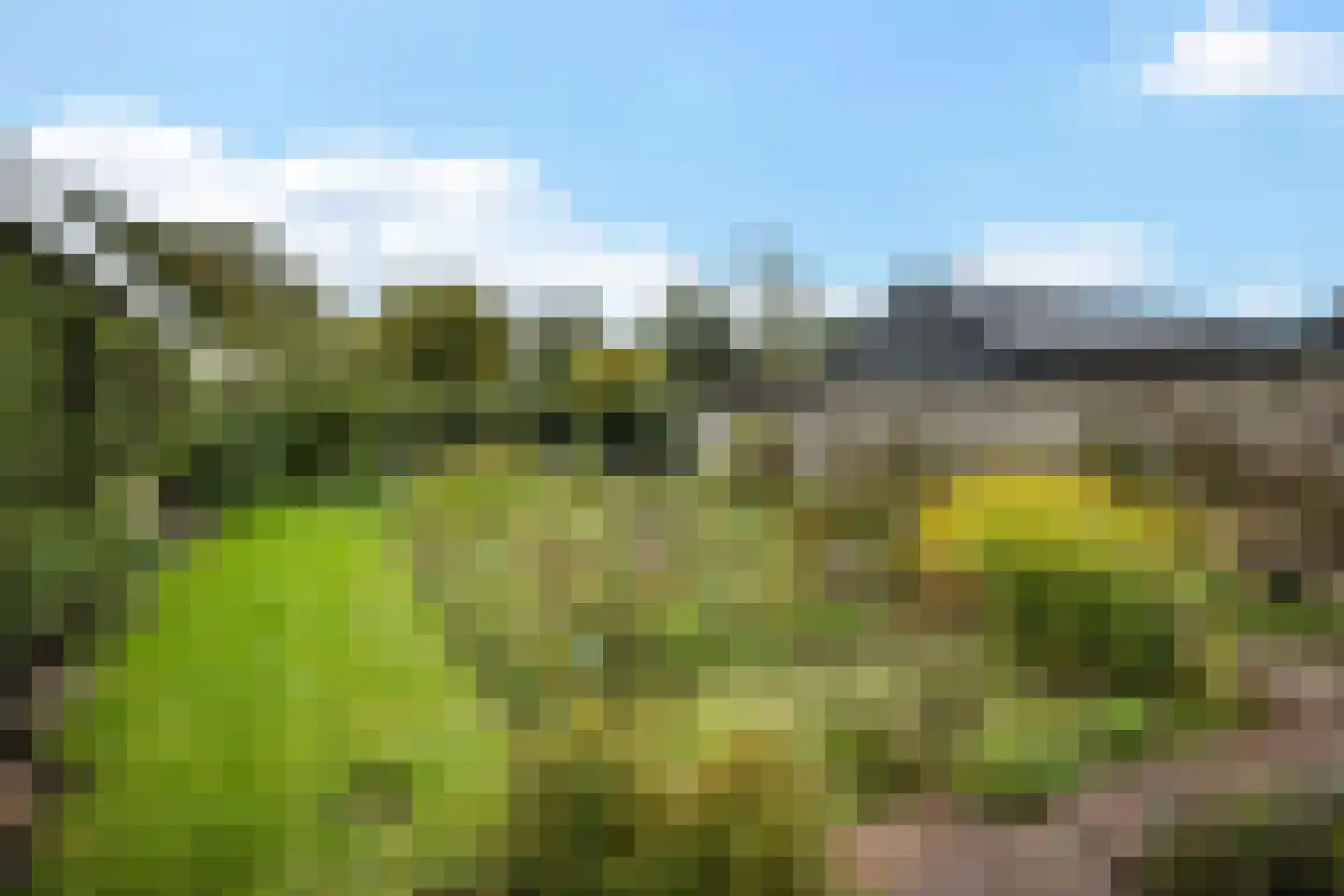 Banderschulte 4 Rolde thumbnail 41