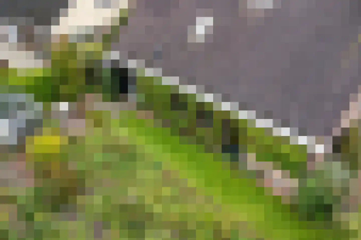 Banderschulte 4 Rolde thumbnail 43