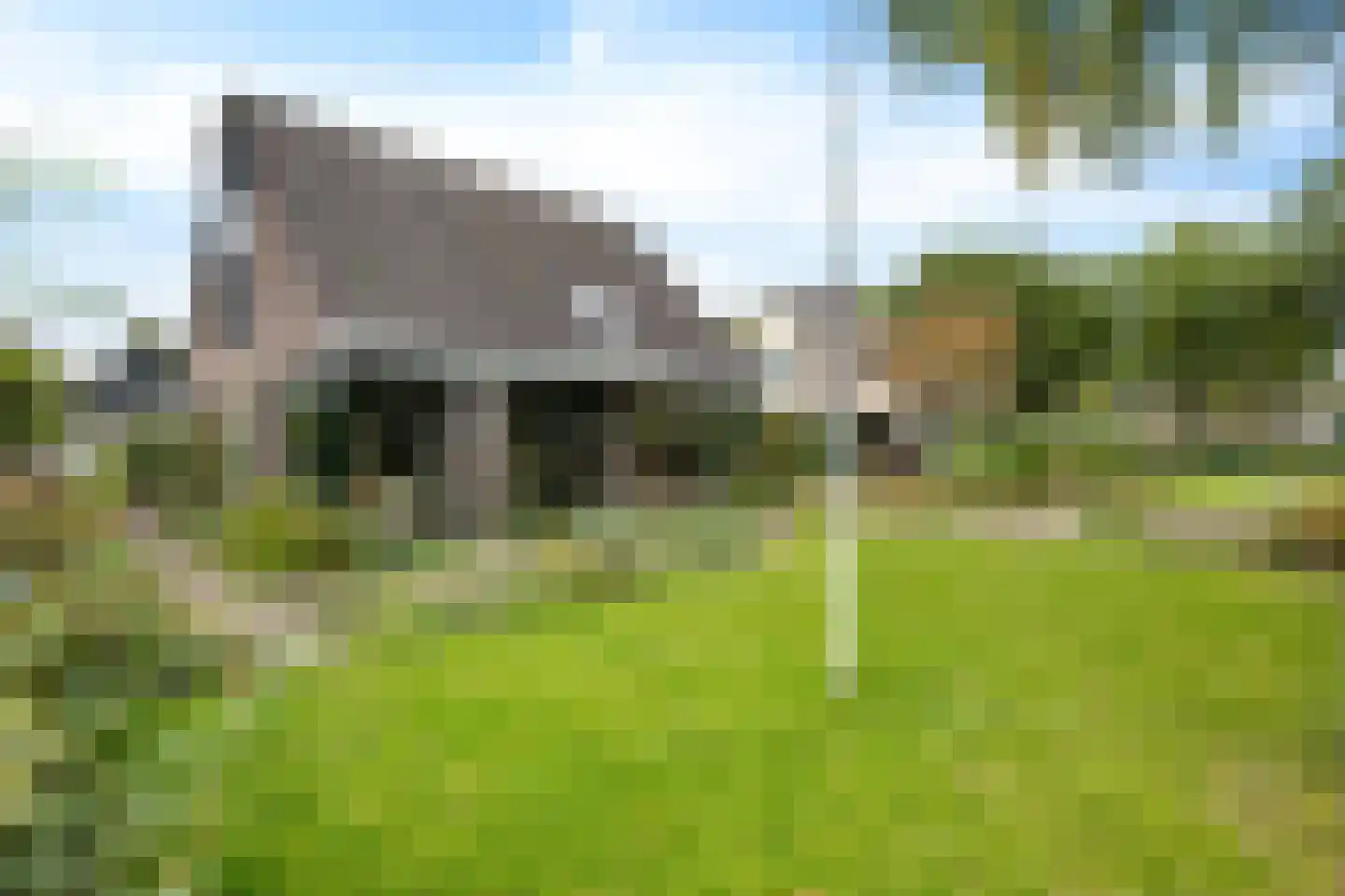 Banderschulte 4 Rolde thumbnail 47