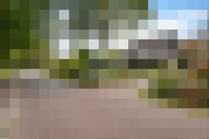 Banderschulte 4 Rolde thumbnail 51
