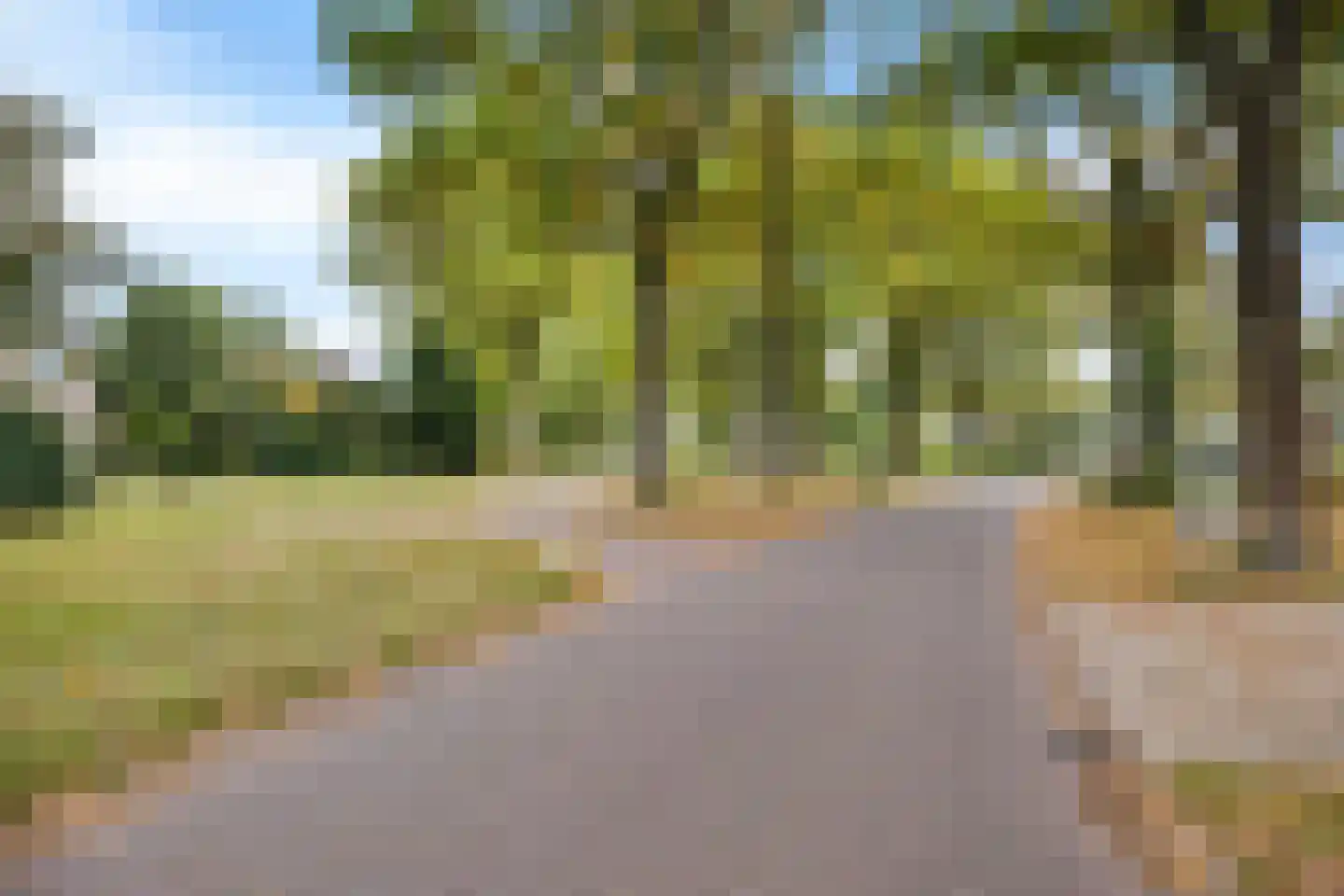 Banderschulte 4 Rolde thumbnail 53