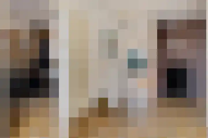 Banderschulte 4 Rolde thumbnail 9