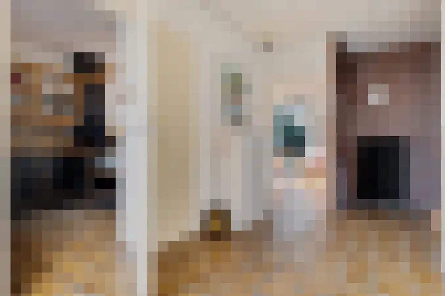 Banderschulte 4 Rolde thumbnail 9