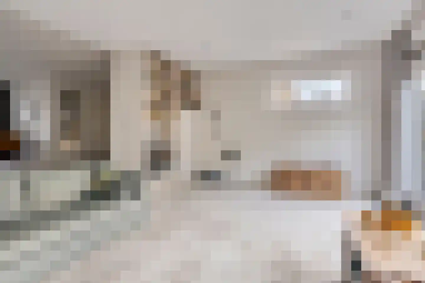 Banderschulte 7 Rolde thumbnail 11