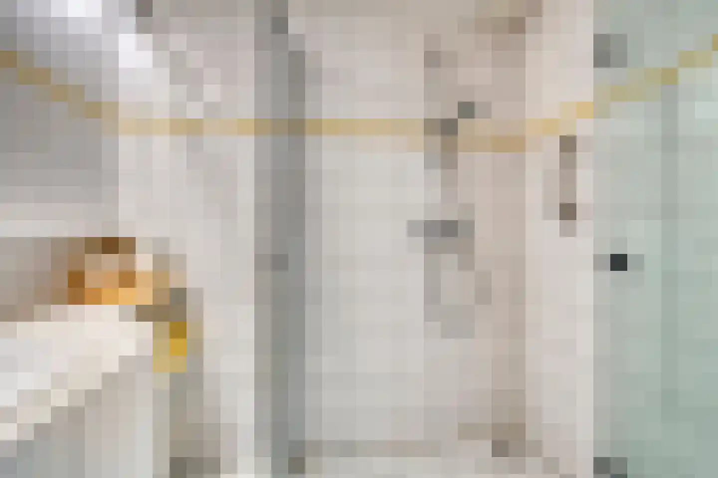 Banderschulte 7 Rolde thumbnail 21