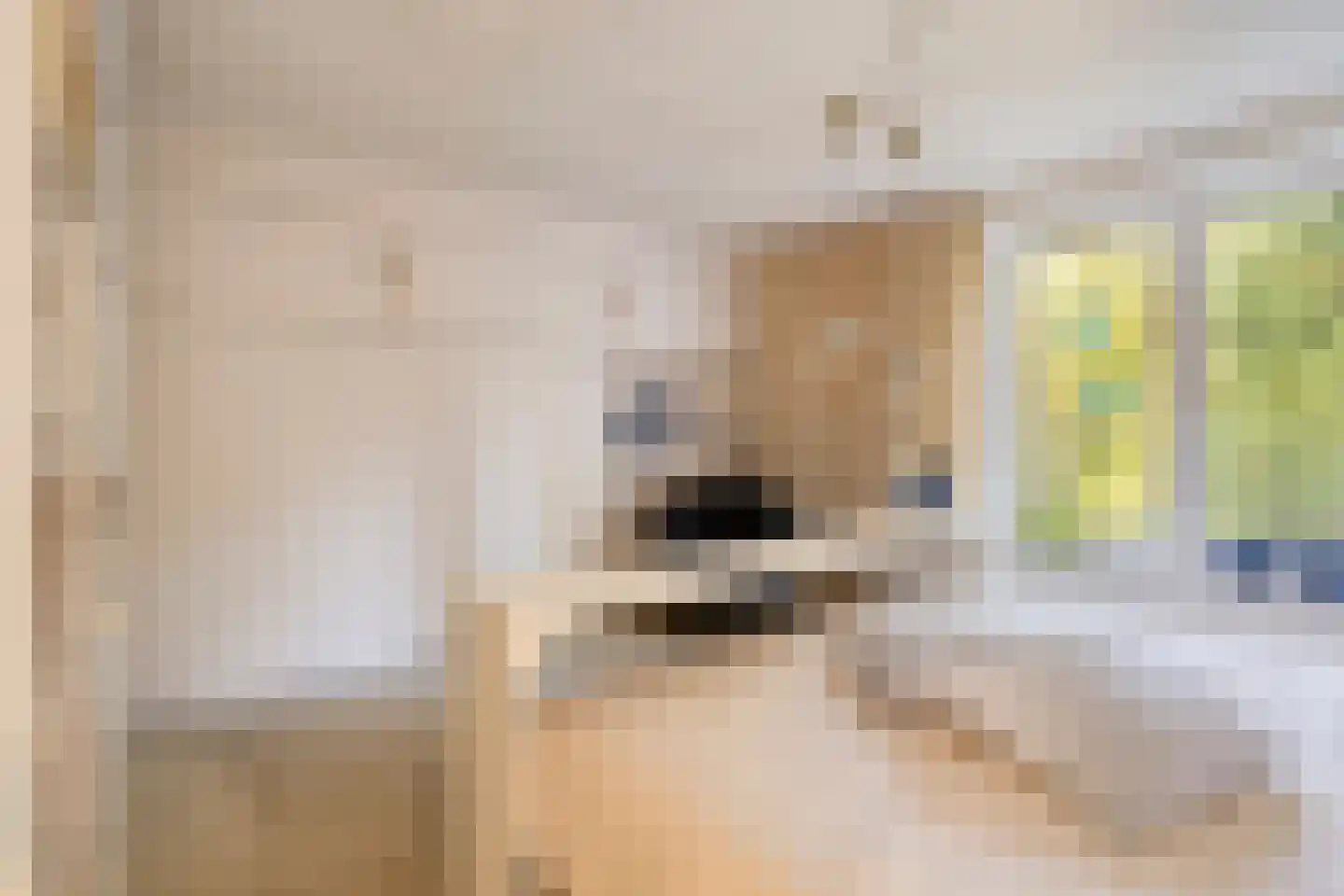 Banderschulte 7 Rolde thumbnail 26