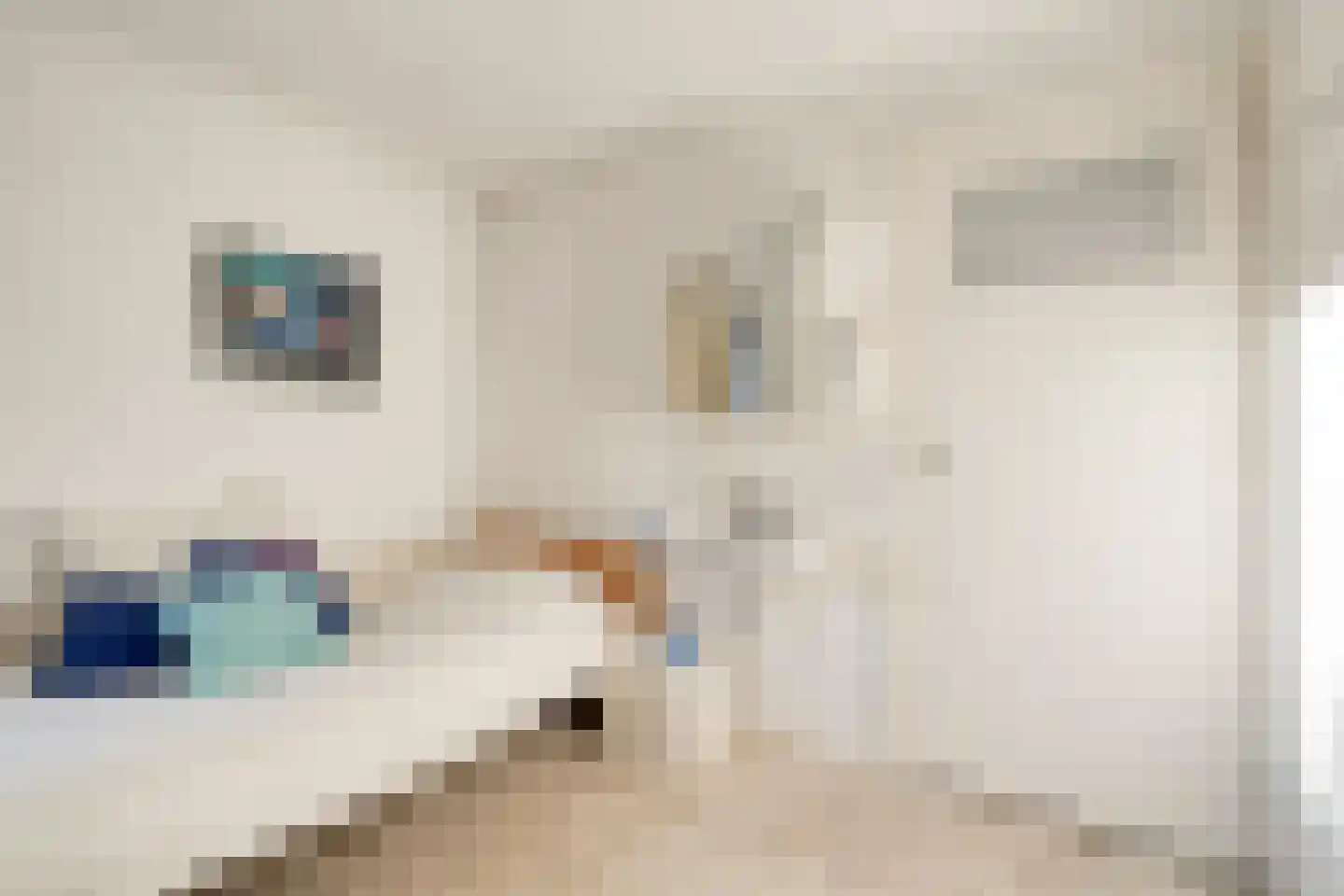 Banderschulte 7 Rolde thumbnail 28