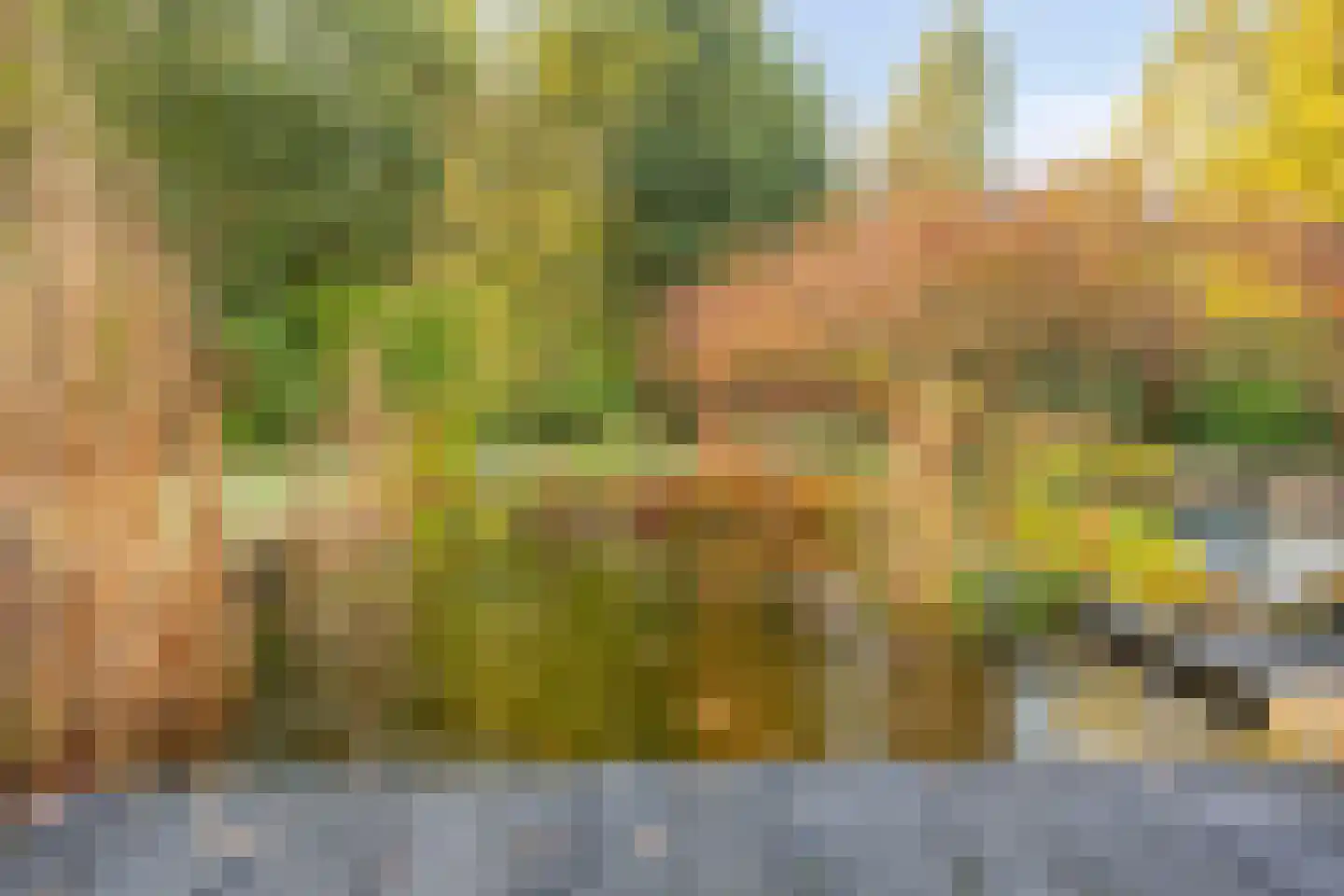 Banderschulte 7 Rolde thumbnail 38