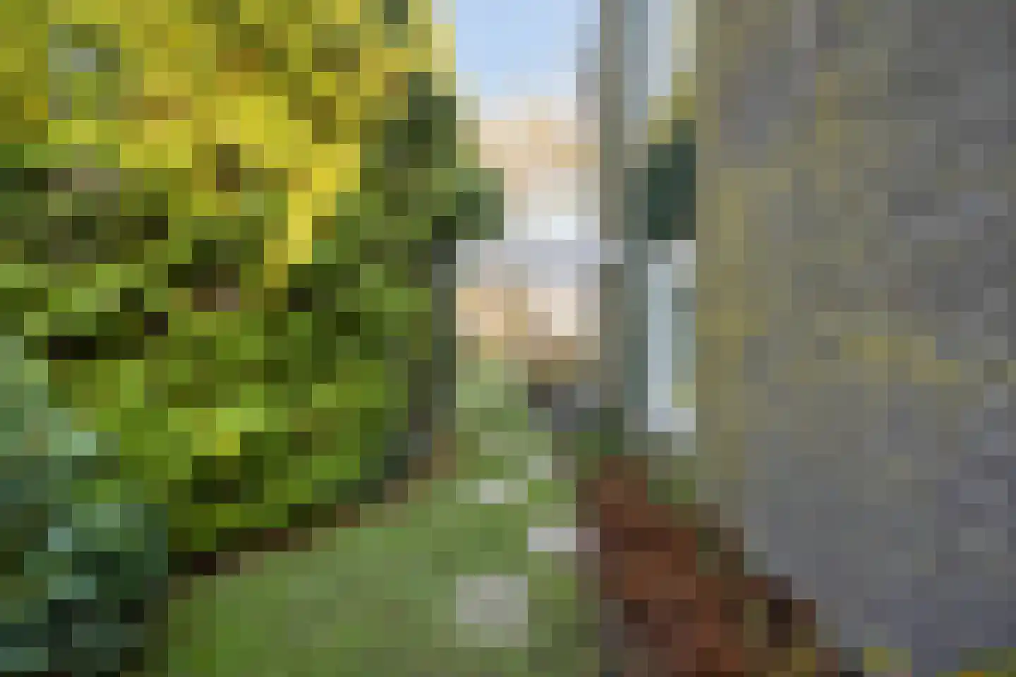 Banderschulte 7 Rolde thumbnail 44