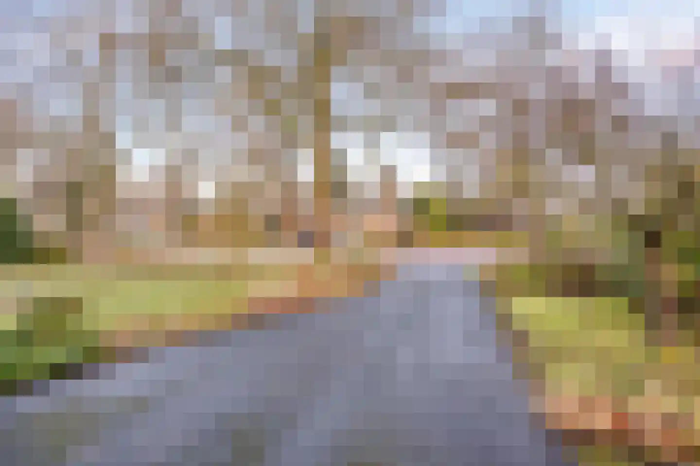 Banderschulte 7 Rolde thumbnail 49