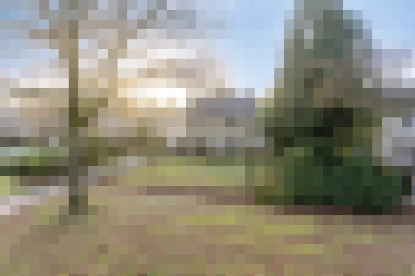 Banderschulte 7 Rolde thumbnail 51