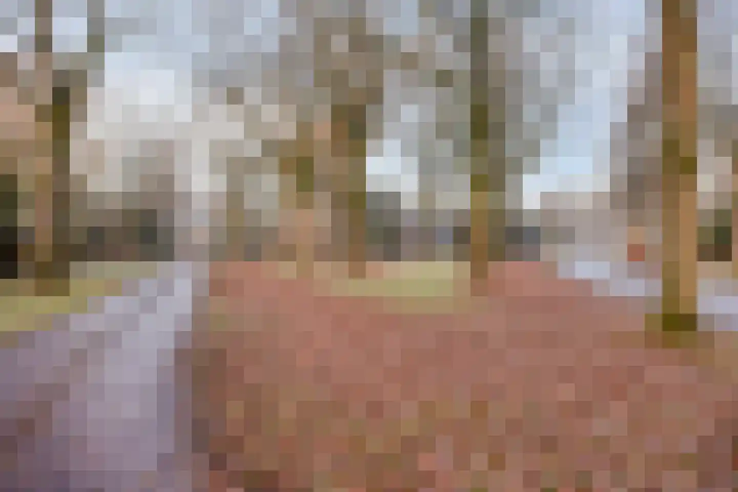 Banderschulte 7 Rolde thumbnail 52