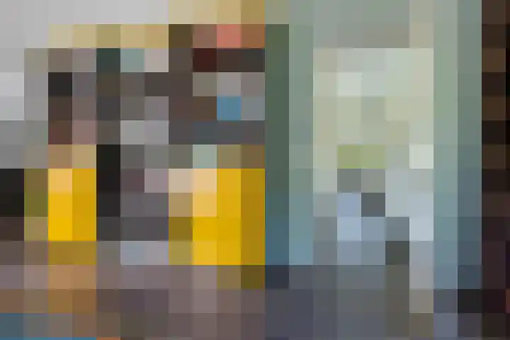 Banderschulte 9 Rolde thumbnail 11