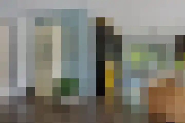 Banderschulte 9 Rolde thumbnail 14