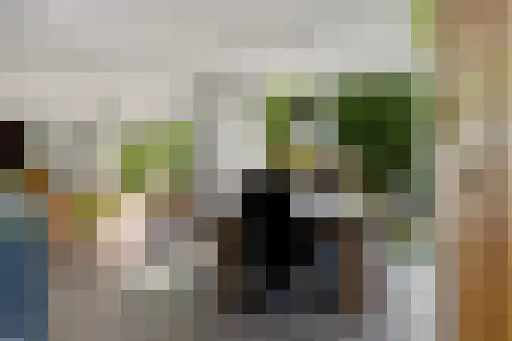 Banderschulte 9 Rolde thumbnail 17