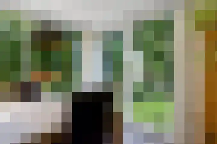 Banderschulte 9 Rolde thumbnail 18