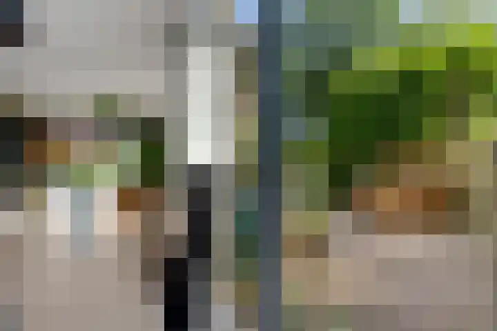 Banderschulte 9 Rolde thumbnail 19