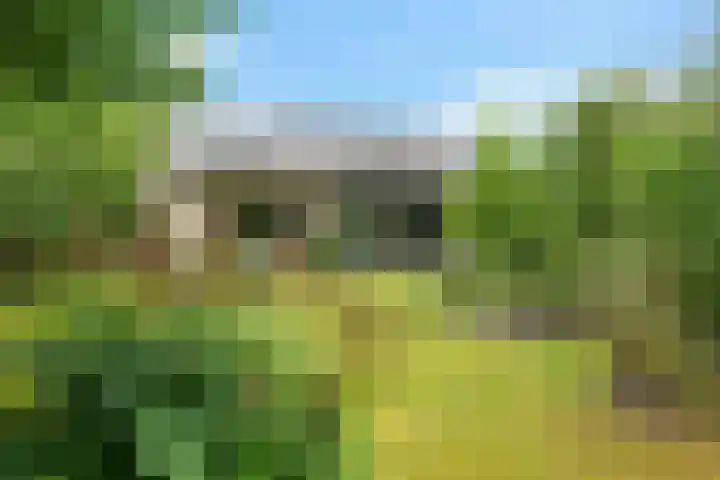 Banderschulte 9 Rolde foto 2