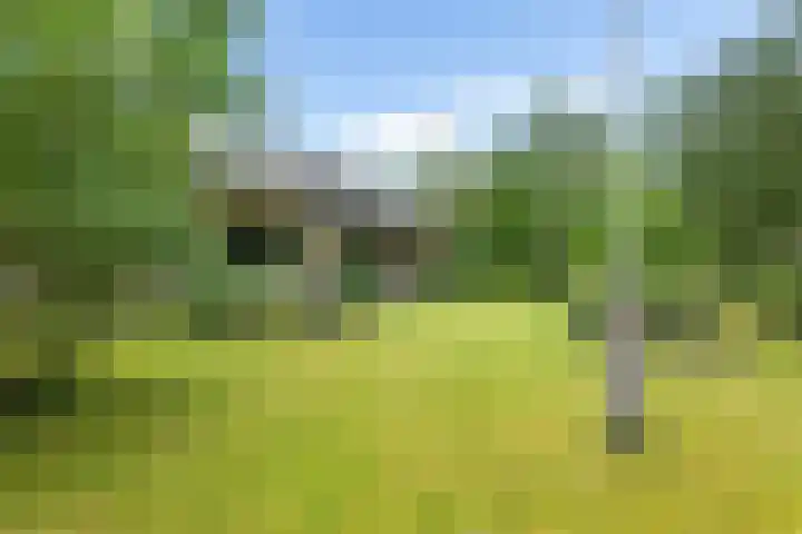 Banderschulte 9 Rolde foto 3
