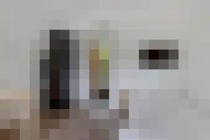 Banderschulte 9 Rolde thumbnail 36