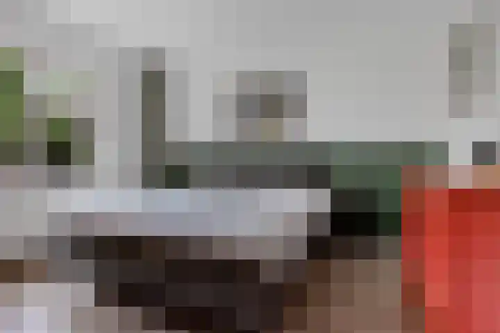 Banderschulte 9 Rolde thumbnail 38