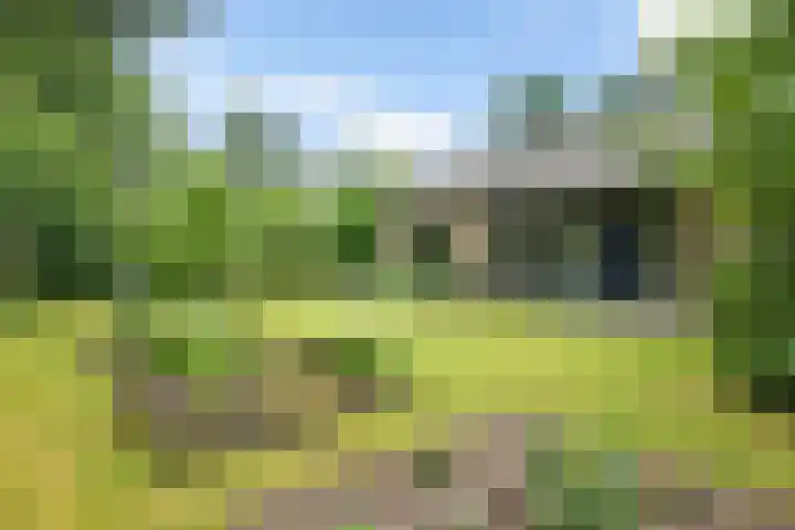Banderschulte 9 Rolde thumbnail 4