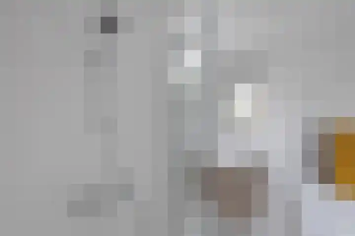 Banderschulte 9 Rolde thumbnail 41