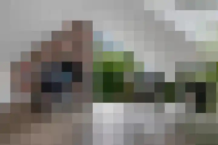 Banderschulte 9 Rolde thumbnail 47