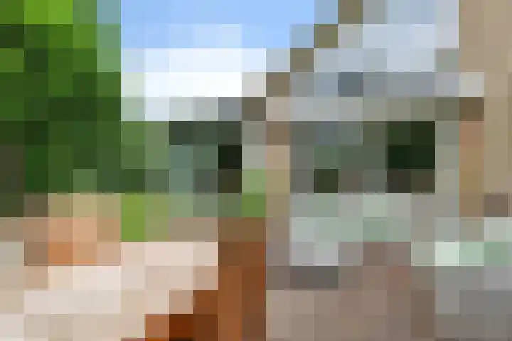 Banderschulte 9 Rolde thumbnail 50