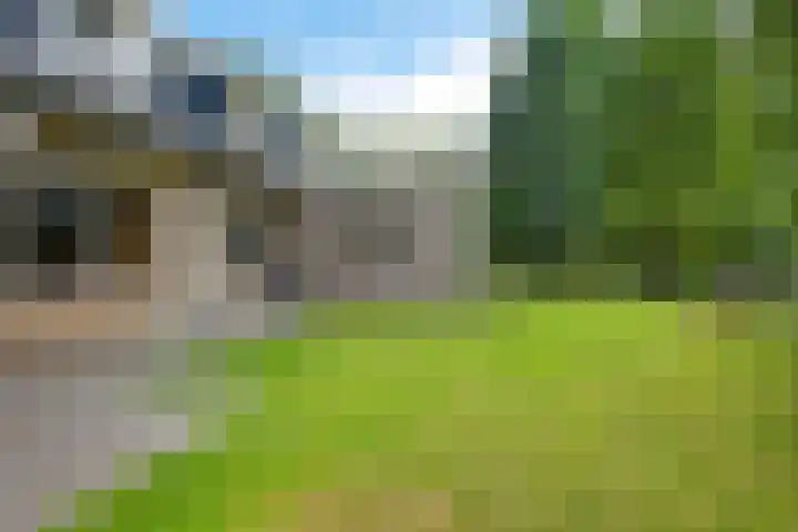 Banderschulte 9 Rolde thumbnail 54