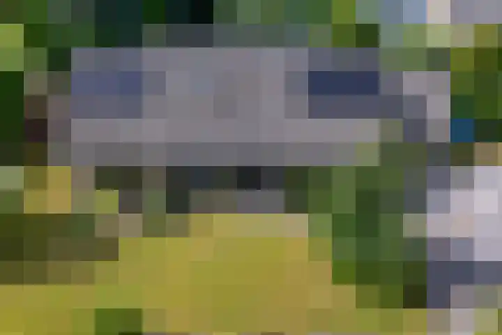 Banderschulte 9 Rolde thumbnail 59