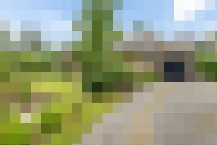 Banderschulte 9 Rolde thumbnail 61