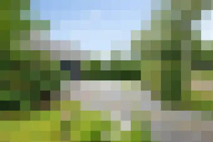 Banderschulte 9 Rolde thumbnail 62