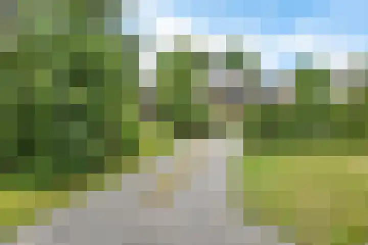 Banderschulte 9 Rolde thumbnail 63
